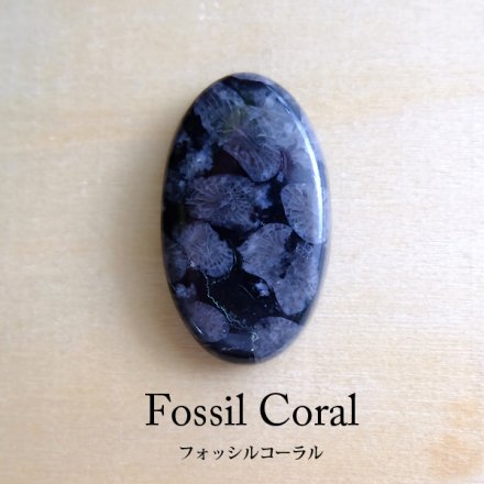 ブラック フォッシルコーラル（化石珊瑚）天然石 カボションルース オーバル型 石包み・ワイヤーアクセサリー素材