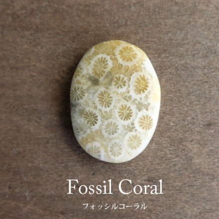 フォッシルコーラル（化石珊瑚）天然石 カボションルース オーバル型