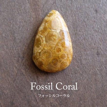 フォッシルコーラル（化石珊瑚）天然石 ルースカボション裸石 ドロップ ...