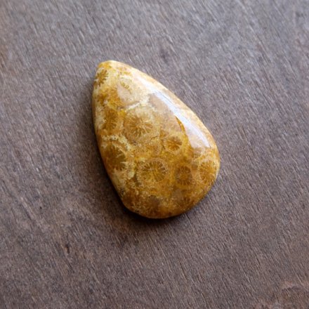 フォッシルコーラル（化石珊瑚）天然石 ルースカボション裸石 ドロップ