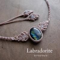 <img class='new_mark_img1' src='https://img.shop-pro.jp/img/new/icons47.gif' style='border:none;display:inline;margin:0px;padding:0px;width:auto;' />֥ɥ饤ȡʥޥ뻺˥ޥԤߥͥå쥹or硼 ŷХ꡼ ץ쥼ȡե ̲ʡ  