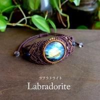 <img class='new_mark_img1' src='https://img.shop-pro.jp/img/new/icons47.gif' style='border:none;display:inline;margin:0px;padding:0px;width:auto;' />֥ɥ饤ȡʥޥ뻺˥饤 ޥԤߥХ󥰥֥쥹åȡ˽Ѳŷ꡼˥ץ쥼ȥե