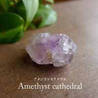 ᥸ȥƥɥ븶Сʥޥ뻺372719mm ʪ쥯 ֤ʪ    g0185
