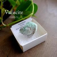 ХꥵȸСʥꥢ 楿˥楿ʪ쥯 24x21x20mm ֤Сƥꥢ եȡg0191