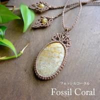 <img class='new_mark_img1' src='https://img.shop-pro.jp/img/new/icons29.gif' style='border:none;display:inline;margin:0px;padding:0px;width:auto;' />礭եå륳 лʥɥͥ˥ޥԤߥڥȥͥå쥹ŷХ꡼ ץ쥼ȥեȡ3101