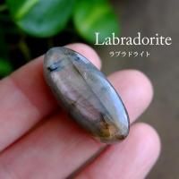 ѡץ֥ɥ饤ȡʥޥ뻺ŷХ롼ܥ Х뷿29137mm˥ѡץ롦ɤ˵顼̥Ū c0311