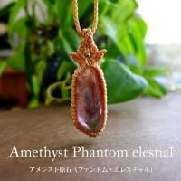 ᥸ եȥ 쥹  ʥޥ뻺 ޥԤߥڥȥͥå쥹ץ쥼 ե  