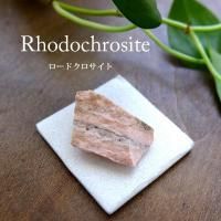 ɥ Сʥ를󻺡˥ո 󥫥 ʪɸ 쥯 ƥꥢ g06