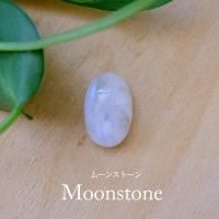 <img class='new_mark_img1' src='https://img.shop-pro.jp/img/new/icons29.gif' style='border:none;display:inline;margin:0px;padding:0px;width:auto;' />ࡼ󥹥ȡ6С˥󥫻 γŷ 롼ܥ󡦥Х뷿16106mm˥磻䡼꡼ޥԤߥϥɥᥤǺࡡc0033