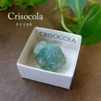 ꥽ Сʥڥ롼˹ʪ쥯 ʥ1 Сʤ㤯ˡ32x22x20mm ֤Сƥꥢ եȡg0202