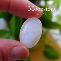 ࡼ󥹥ȡʥ󥫻6 롼ܥ Х뷿22157mm˥ޥᡦ꡼ϥɥᥤŷǺ c0309