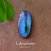 ֥ɥ饤ȡʥޥ뻺˥롼ܥ Х뷿ԡ38196mm˥ޥᡦ磻䡼꡼ ϥɥᥤŷǺࡡc0076