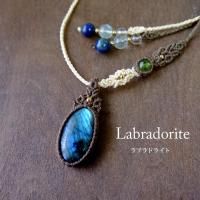 ֥ɥ饤ȡʥޥ뻺ˡڥɥåȡʥꥫ˥ޥԤߥڥȥͥå쥹  ץ쥼ȡꥹޥեȡ3625