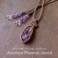 ᥸ եȥ 쥹븶 ʥޥ뻺˥ޥԤߥڥȥͥå쥹  ŷȤΥեȡꥹޥץ쥼 3201