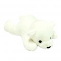 センサーサファリ 北極熊