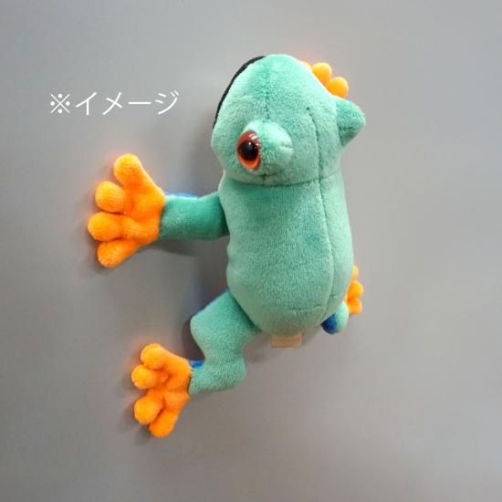 アニマニア アメフクラガエル(マグネット) - ぬいぐるみメーカーTAKE
