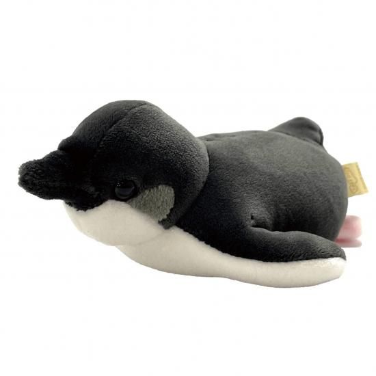 ペンギン帽子の猫ぬいぐるみ Amazon.co.jp: Toyvian かぶりもの ペンギン キャップ かわいい