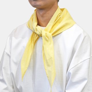 SONO<br>SAFRON scarf<img class='new_mark_img2' src='https://img.shop-pro.jp/img/new/icons16.gif' style='border:none;display:inline;margin:0px;padding:0px;width:auto;' />