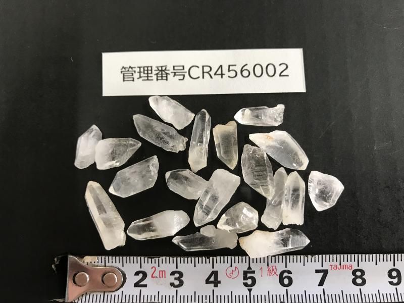 <img class='new_mark_img1' src='https://img.shop-pro.jp/img/new/icons17.gif' style='border:none;display:inline;margin:0px;padding:0px;width:auto;' />ŷ徽 γ Ʃɹ CR456002