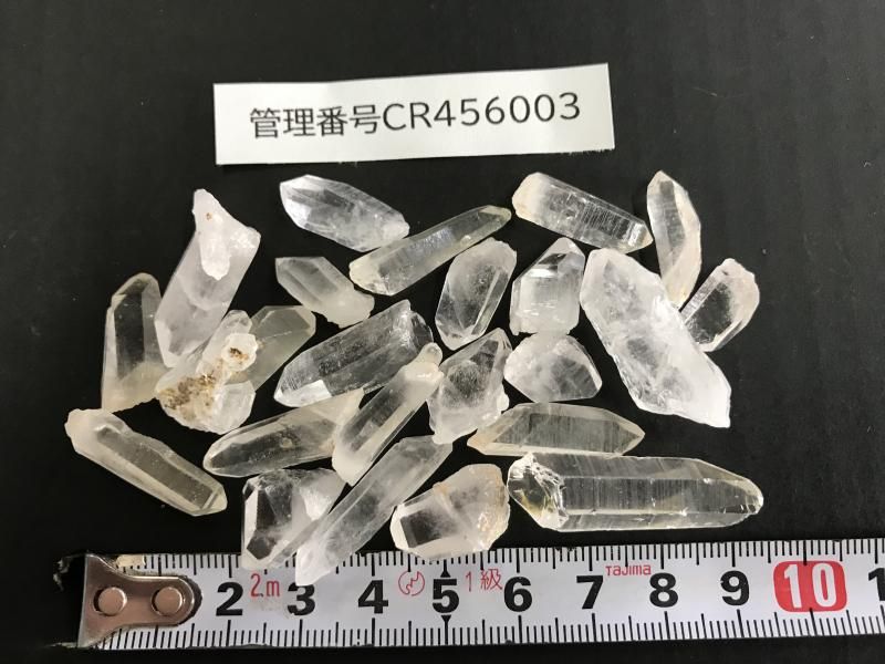 <img class='new_mark_img1' src='https://img.shop-pro.jp/img/new/icons17.gif' style='border:none;display:inline;margin:0px;padding:0px;width:auto;' />ŷ徽 γ Ʃɹ CR456003