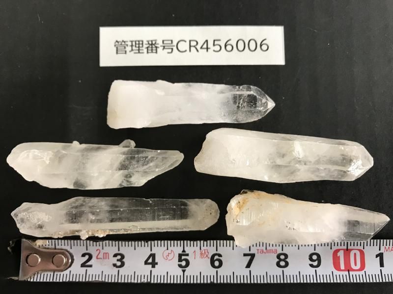 <img class='new_mark_img1' src='https://img.shop-pro.jp/img/new/icons17.gif' style='border:none;display:inline;margin:0px;padding:0px;width:auto;' />ŷ徽 Ʃ٤ɹ CR456006