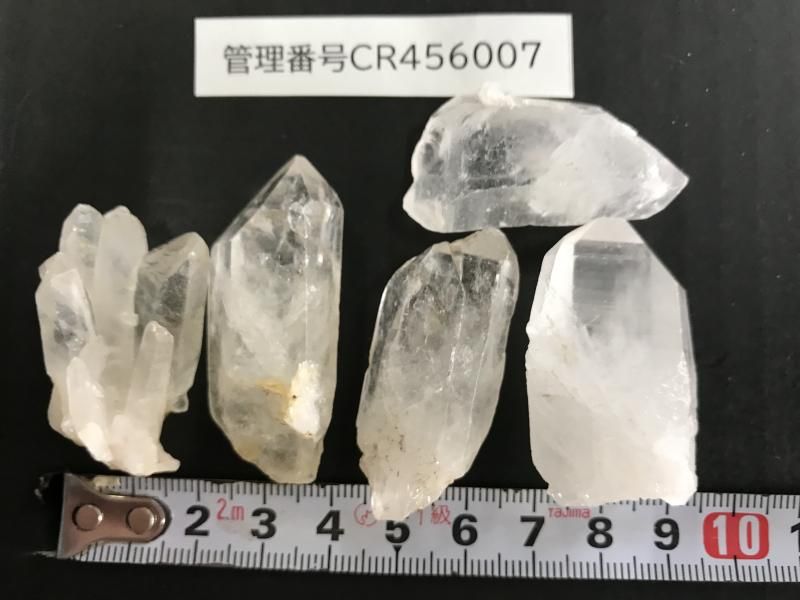 <img class='new_mark_img1' src='https://img.shop-pro.jp/img/new/icons17.gif' style='border:none;display:inline;margin:0px;padding:0px;width:auto;' />ŷ徽 礭 Ʃ٤ɹ CR456007