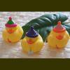 <img class='new_mark_img1' src='https://img.shop-pro.jp/img/new/icons48.gif' style='border:none;display:inline;margin:0px;padding:0px;width:auto;' />Rubber Duck 『Birthday』
