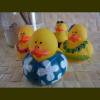 <img class='new_mark_img1' src='https://img.shop-pro.jp/img/new/icons55.gif' style='border:none;display:inline;margin:0px;padding:0px;width:auto;' />Rubber Duck Luau
