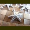 <img class='new_mark_img1' src='https://img.shop-pro.jp/img/new/icons24.gif' style='border:none;display:inline;margin:0px;padding:0px;width:auto;' />Metal-Starfish Charm