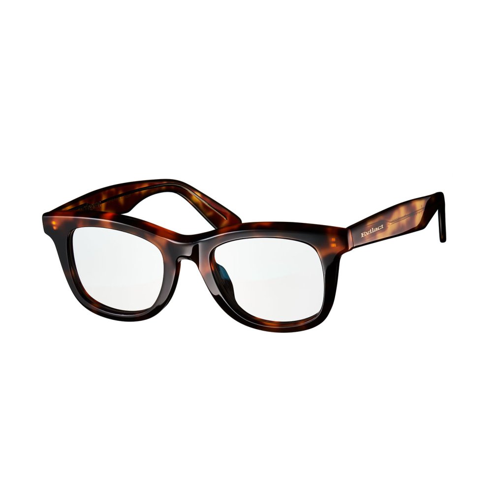 FLANDERS brown tort. x antique clear / dimming gray lens