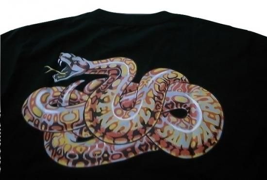 SANTA CRUZ サンタクルーズ JEFF KENDALL ジェフ ケンダル SNAKE