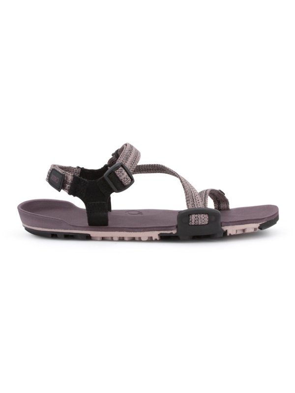 XERO SHOES｜Women's ZトレイルEV (レディース) #ダスティローズ [TTW