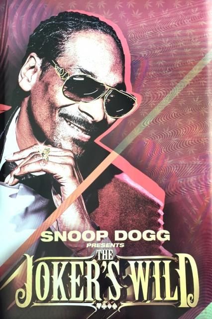 スヌープドッグ　ポスター　snoop dog 1990-2000's ”SNOOP DOGGY DOGG” 額入りポスター - アンティーク