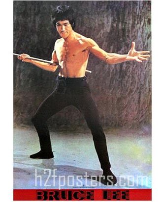 ブルースリー ポスター Bruce Lee 2401 通販ポスター 映画 音楽