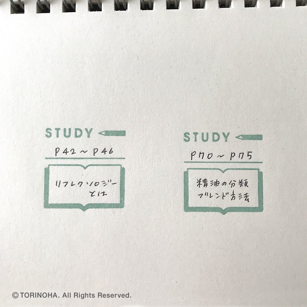 STUDY β