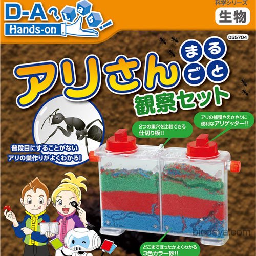 科学シリーズ アリさんまるごと観察セット 055704 理科教材 生物 美術