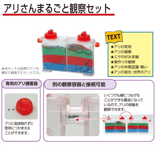 科学シリーズ アリさんまるごと観察セット 055704 理科教材 生物 美術