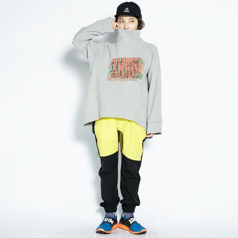 ALDIES/アールディーズ 『Adult 3D Turtle Top』 アダルト3Dタートル