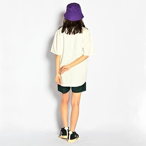 ALDIES/アールディーズ 『Zebra Climbing Shorts』 ゼブラ