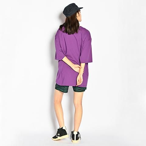 ALDIES/アールディーズ 『Zebra Climbing Shorts』 ゼブラ