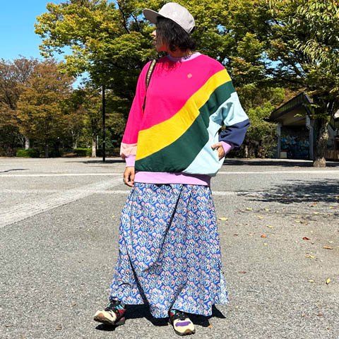 ALDIES/アールディーズ 『Stream Great Sweat』 ストリームグレイトスウェット Rainbow - ALDIES Online  Shop