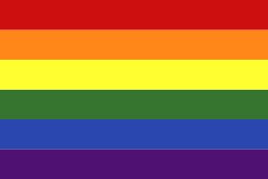 レインボーフラッグ LGBT 旗 50×75cm テトロン製 日本製