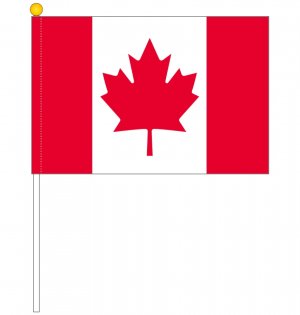手旗 応援旗サイズ カナダ国旗 ポール付き 25 37 5ｃｍ トスパ世界の国旗販売ショップ