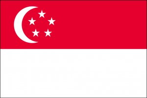 シンガポール国旗（大サイズ８８×１３２ｃｍ）・品番No2 - トスパ世界の国旗販売ショップ