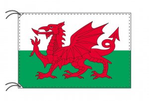 ウェールズ 国旗 70×105cm テトロン製 日本製 世界の国旗シリーズ