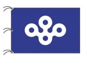 大分県 大分県旗 テトロン製 日本製 日本 都道府県 旗 大分県 大分県旗 テトロン製 日本製 日本 都道府県 旗 Amazon.co.jp: