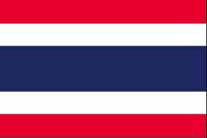 訳あり タイ国旗 木綿製 手旗サイズ34 50ｃｍ トスパ世界の国旗販売ショップ