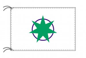 TOSPA 青森市旗 青森県県庁所在地の市の旗 90×135cm テトロン製 日本製 日本の県庁所在地旗シリーズ - トスパ世界の国旗販売ショップ