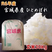 米 お米 宮城県 宮城県産 令和5年産 白米 玄米 精米