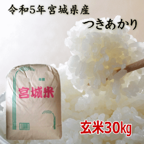 埼玉 引取り限定A】令和5年度産 減農薬『コシヒカリ』玄米30kg - 米